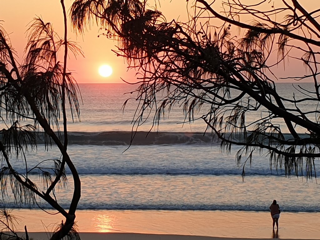 Peregian Beach Market | Kingfisher Dr, Peregian Beach QLD 4573, Australia | Phone: 0428 190 055