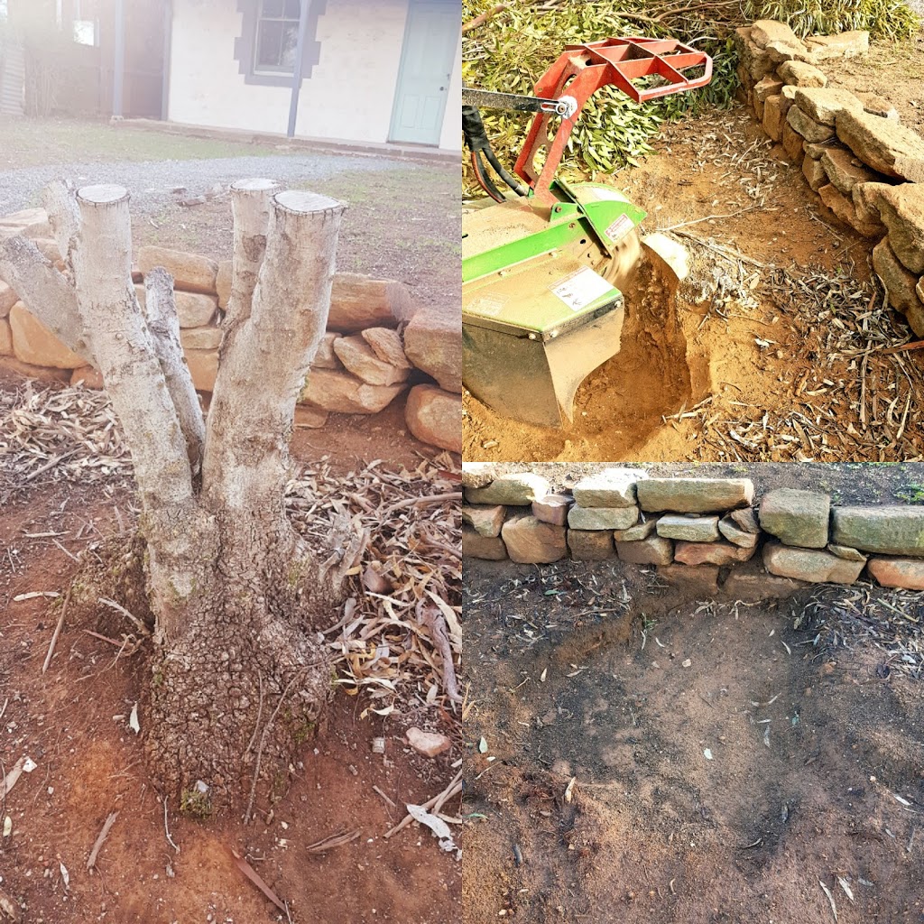 Honest Tree Services | 32 Main N Rd, Willaston SA 5118, Australia | Phone: 0423 256 437