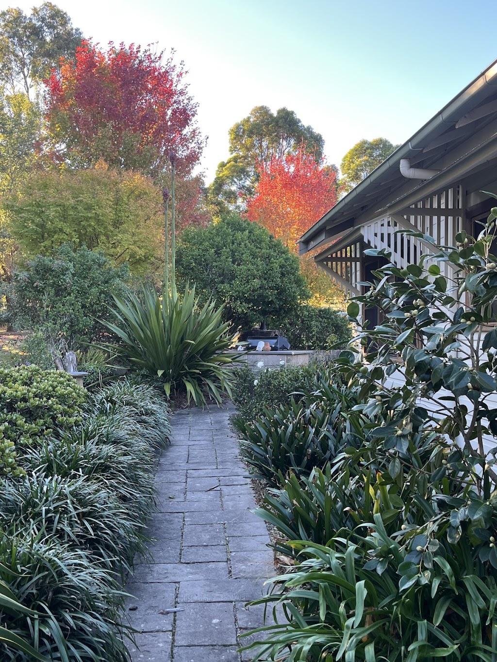 Red Cedar Garden & Property Care | Strongs Rd, Jaspers Brush NSW 2535, Australia | Phone: 0433 188 182
