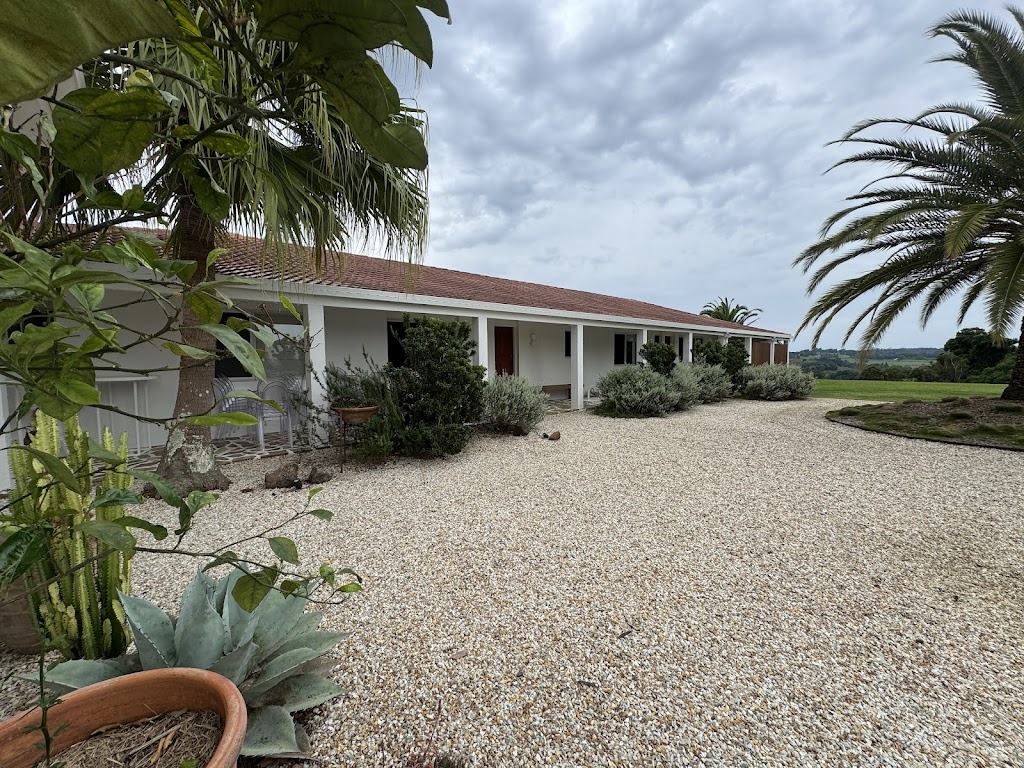 Daybreak Forest | 2 Elliot Rd, Clunes NSW 2480, Australia | Phone: 0417 102 664