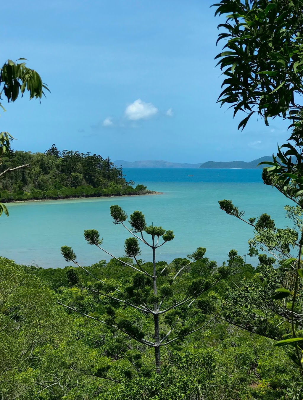 Coral Beach | Coral Esplanade, Whitsundays QLD 4802, Australia | Phone: 0481 820 444