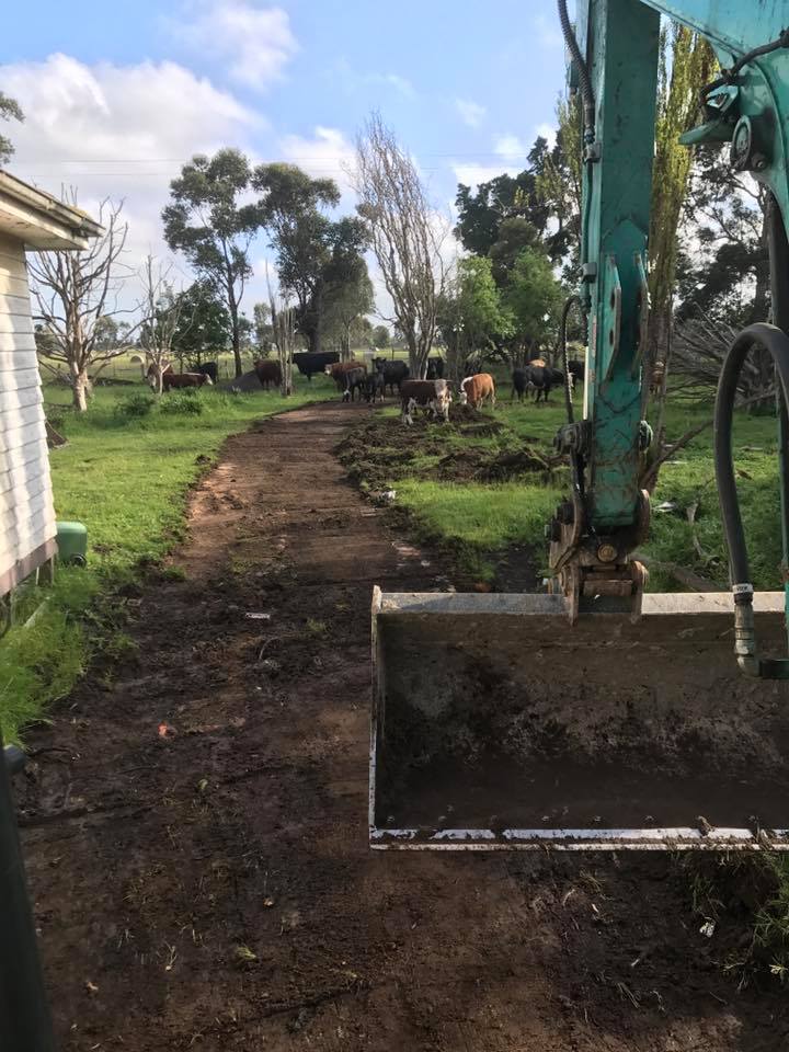 Glenns Cutting Edge Earthmoving | general contractor | 24 Elisa Pl, Hastings VIC 3915, Australia | 0422490859 OR +61 422 490 859