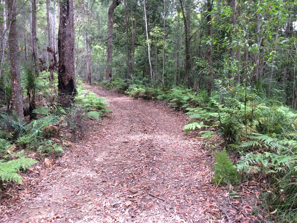 TRAILSNTRAX | campground | 2a Jirrima Cres, Cooroibah QLD 4565, Australia | 0400281428 OR +61 400 281 428
