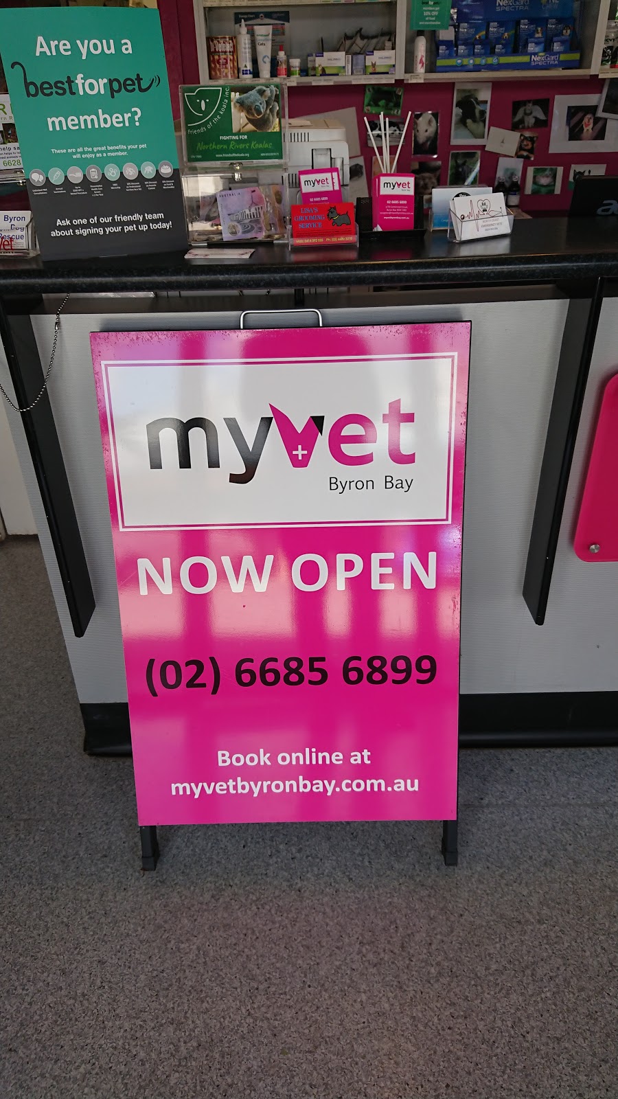 MyVet Byron Bay | veterinary care | 1/70 Centennial Cct, Byron Bay NSW 2481, Australia | 0266856899 OR +61 2 6685 6899
