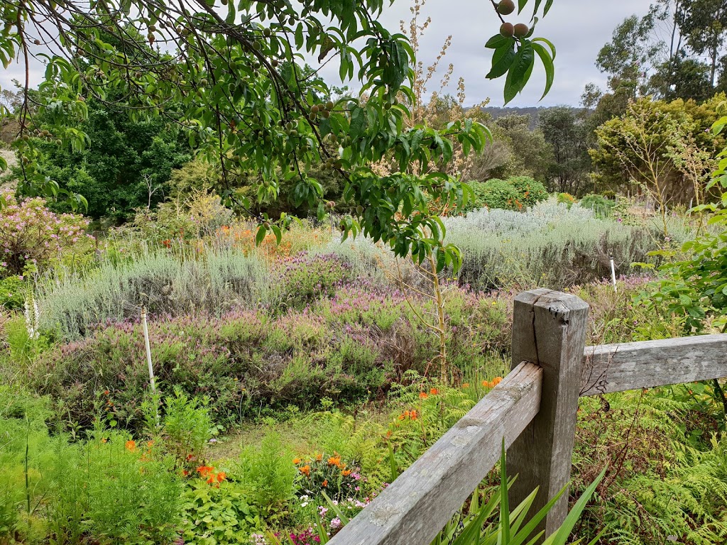 Thurlby Herb Farm | cafe | 301 Gardiner Rd, North Walpole WA 6398, Australia | 0898401249 OR +61 8 9840 1249