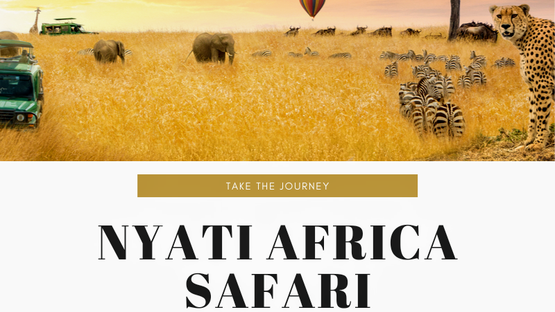 Nyati Africa Safari | travel agency | Olley Ct, Brookfield QLD 4069, Australia | 0417071093 OR +61 417 071 093