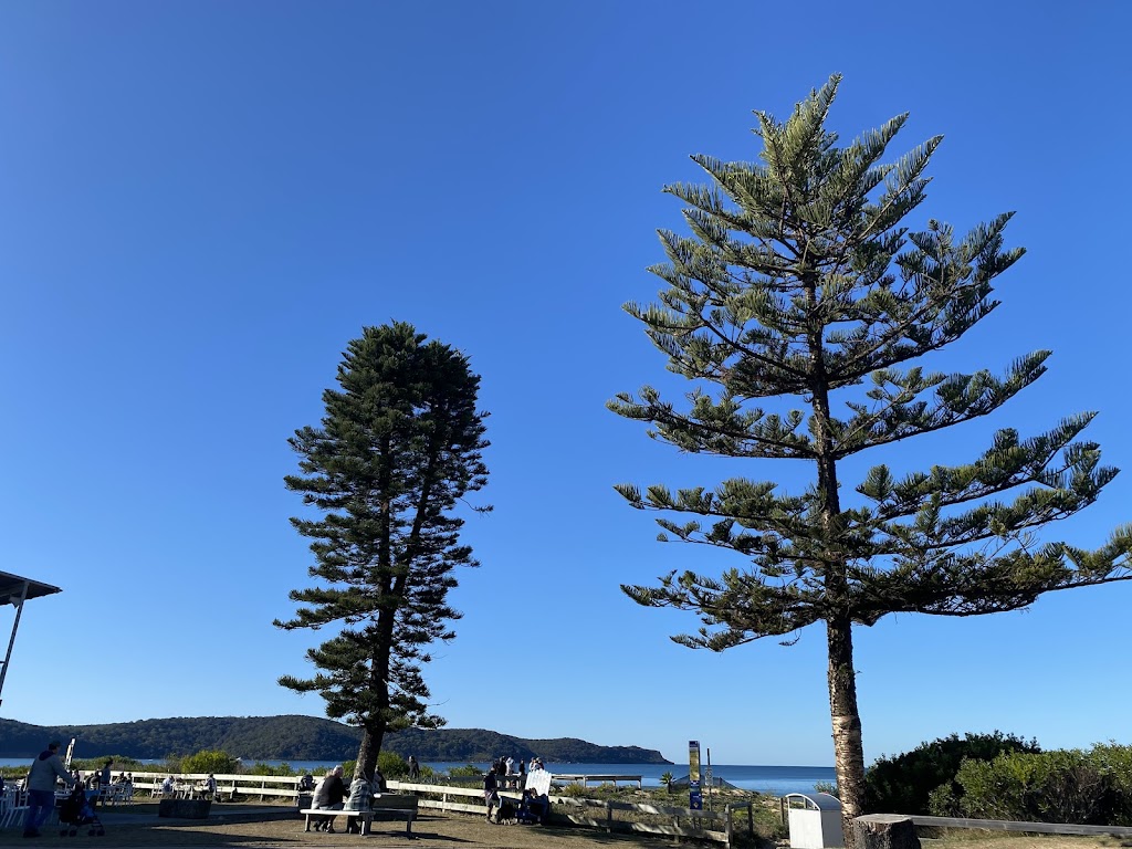 Umina Markets | Sydney Ave, Umina Beach NSW 2257, Australia | Phone: 097549 71232