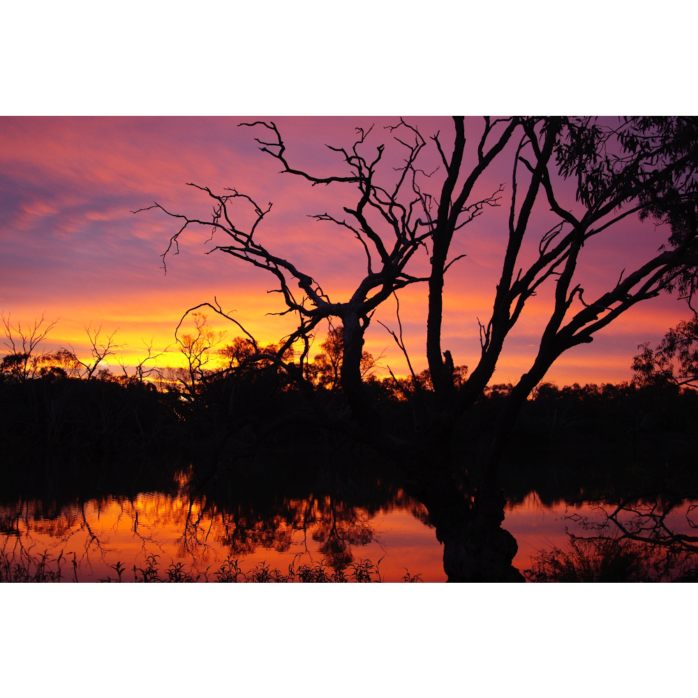 Warrego Riverside Tourist Park | 322 Weir Rd, Cunnamulla QLD 4490, Australia | Phone: (07) 4655 0097