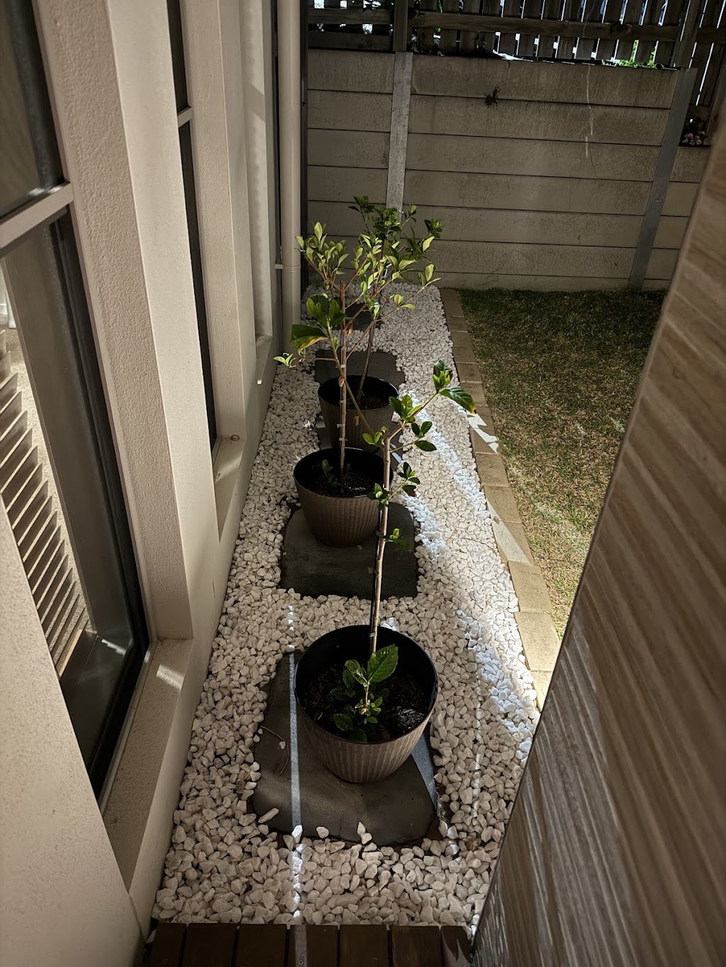 Clipz Gardening | Sprightly St, Ripley QLD 4306, Australia | Phone: 0448 210 917