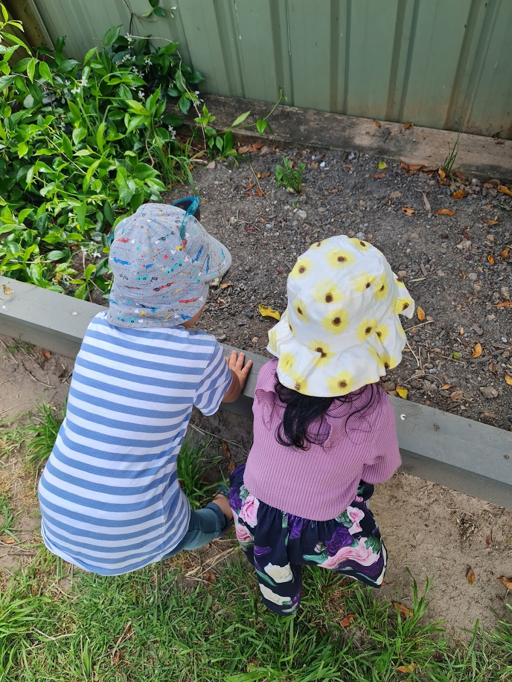 BushFam Daycare | 54 Sentry Dr, Stanhope Gardens NSW 2768, Australia | Phone: 0432 516 250