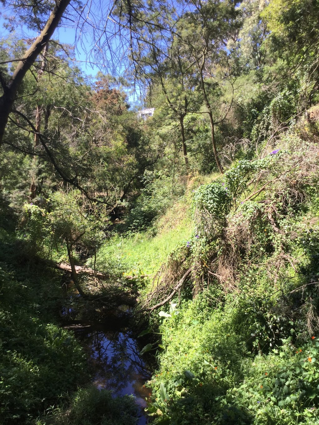 Sweetwater Creek - Walking Track | 2 Liddesdale Ave, Frankston South VIC 3199, Australia