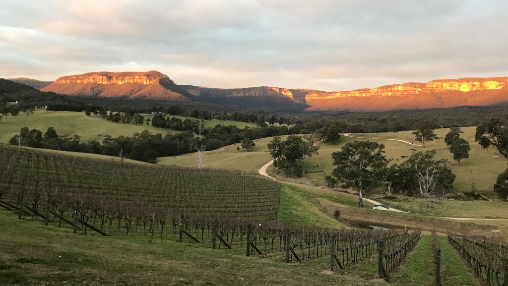 Dryridge Estate - Blue Mountains Winery - Megalong Valley | food | 226 Aspinall Rd, Megalong Valley NSW 2785, Australia | 0403118990 OR +61 403 118 990