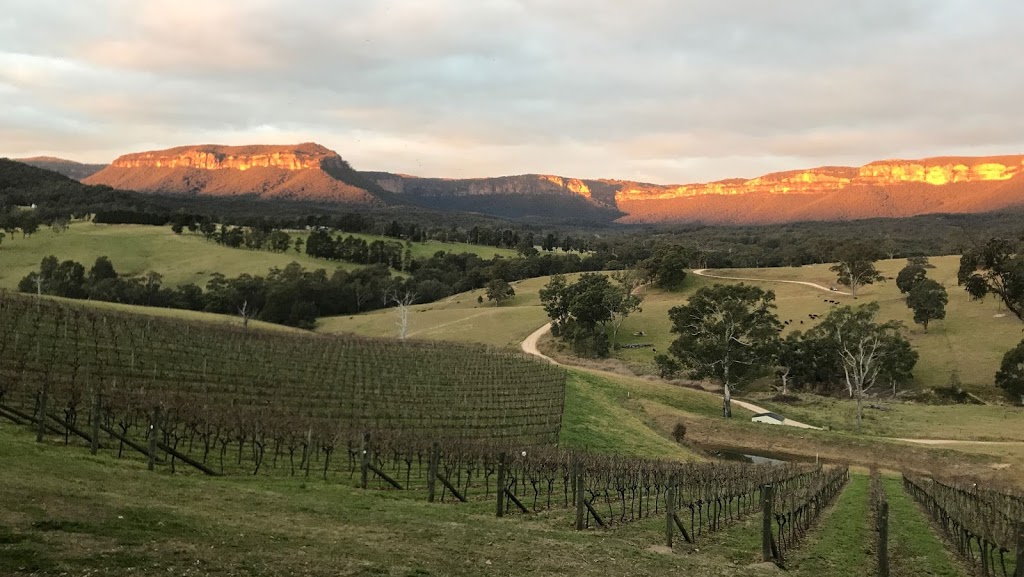 Dryridge Estate - Blue Mountains Winery - Megalong Valley | 226 Aspinall Rd, Megalong Valley NSW 2785, Australia | Phone: 0403 118 990