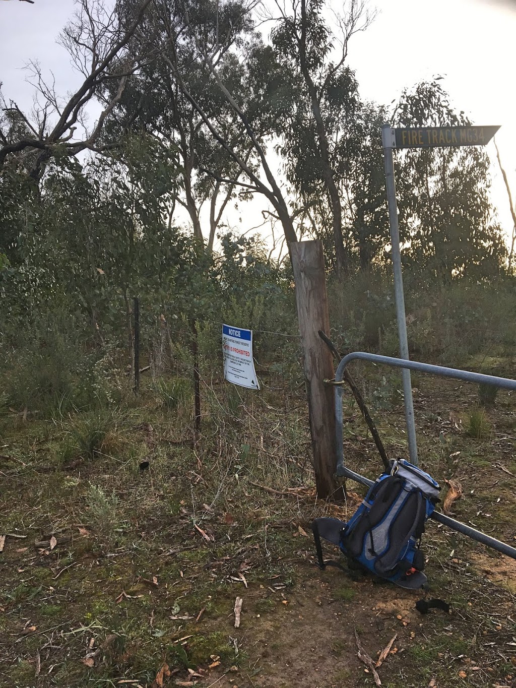 Mount Gawler Native Forest Reserve | Mount Gawler Rd, Kersbrook SA 5231, Australia | Phone: (08) 8724 2888