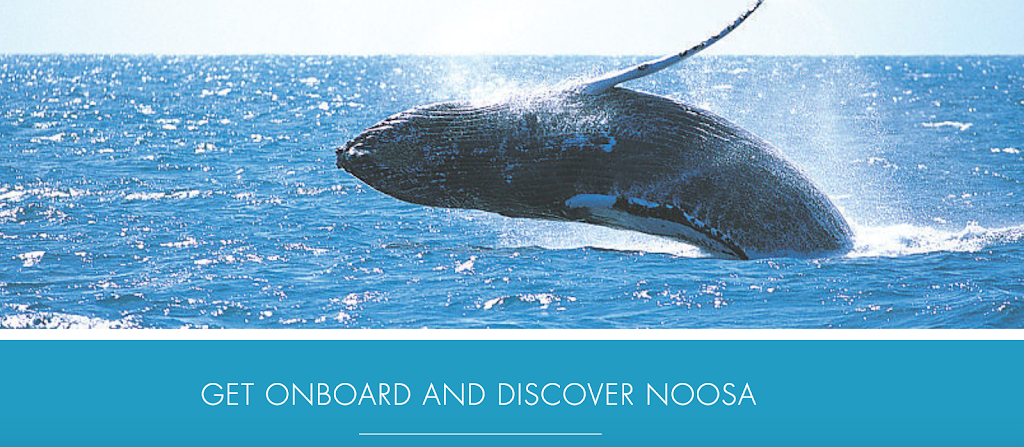 Noosa River Cruises | The Boathouse Marina, 194 Gympie Terrace, Noosaville QLD 4566, Australia | Phone: 0412 735 624