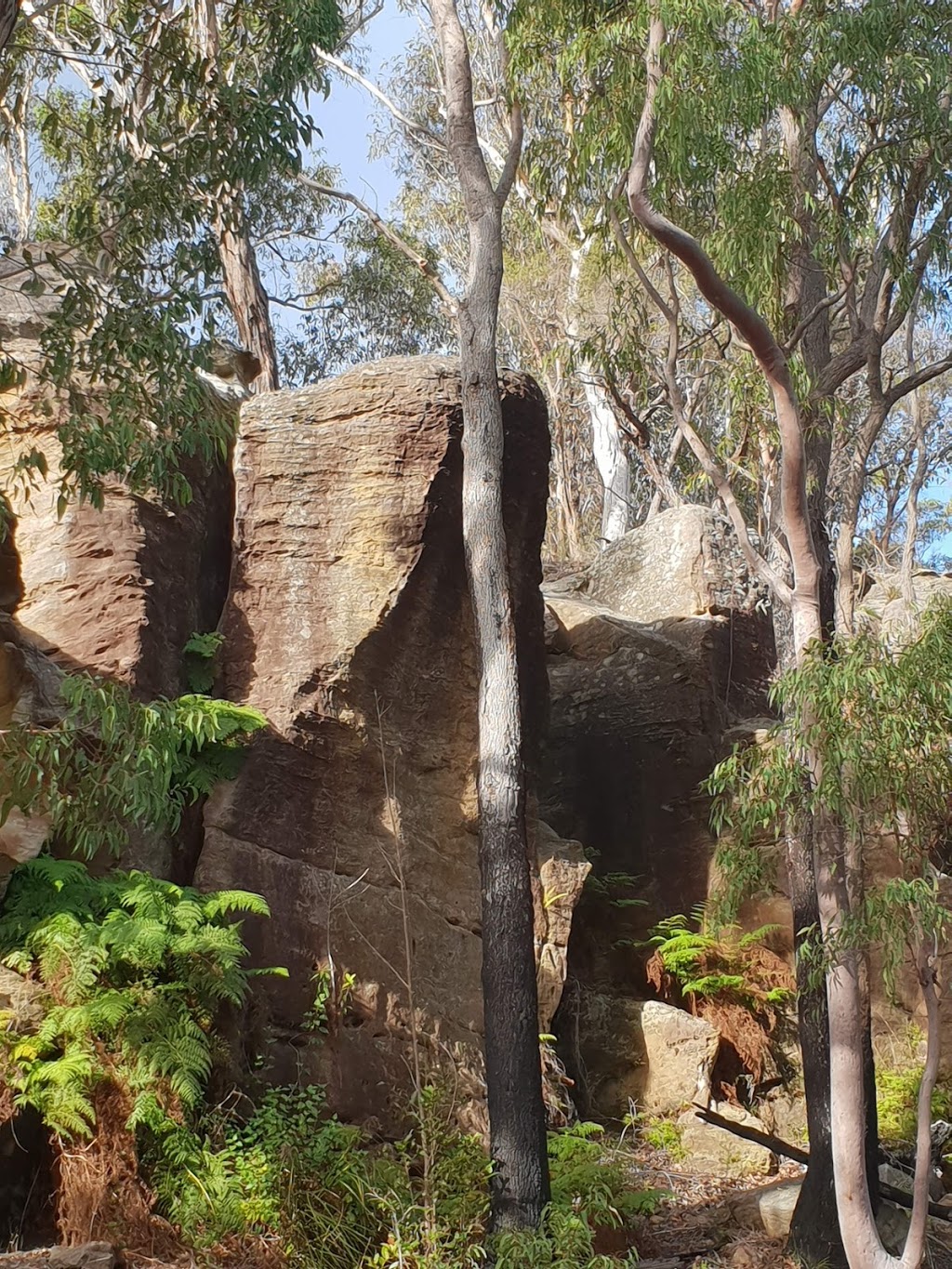 Berowra Valley National Park | park | New South Wales, Australia | 0298476666 OR +61 2 9847 6666