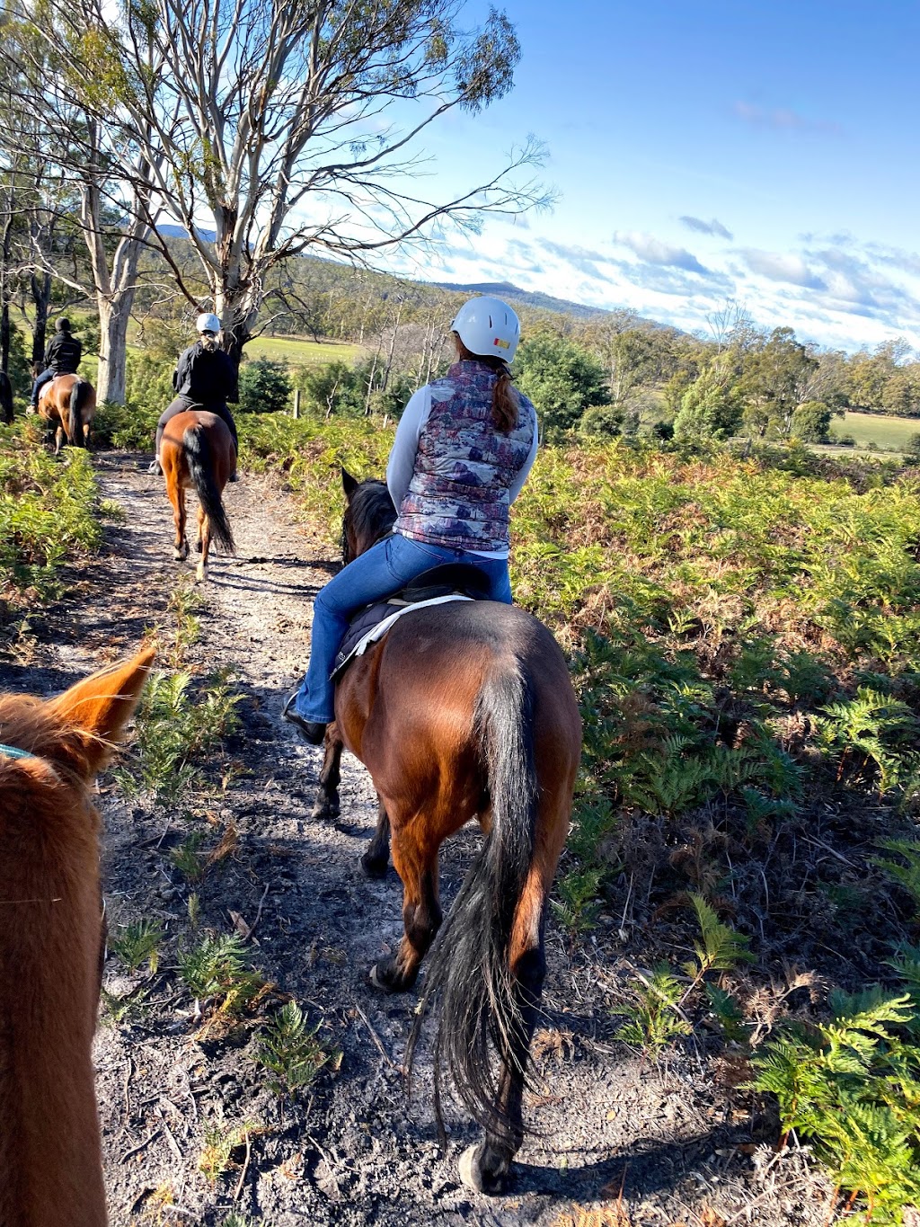 Horse Riding Tasmania |  | 1592 Buckland Rd, Woodsdale TAS 7120, Australia | 0417308069 OR +61 417 308 069