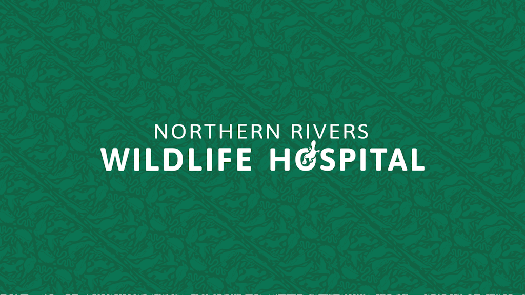 Northern Rivers Wildlife Hospital | 50 Lindendale Rd, Wollongbar NSW 2477, Australia | Phone: (02) 5657 9447