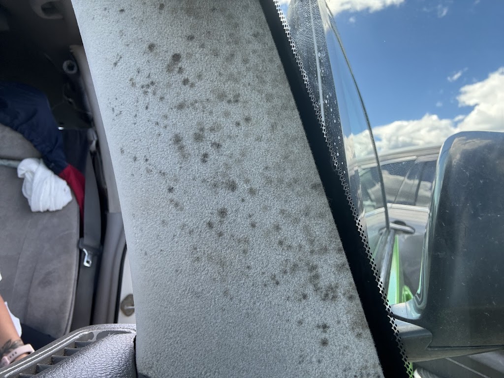 JUCY Car Rental and Campervan Hire Hobart | 1 Hawkesford Road, Hobart TAS 7170, Australia | Phone: 09 600 1032