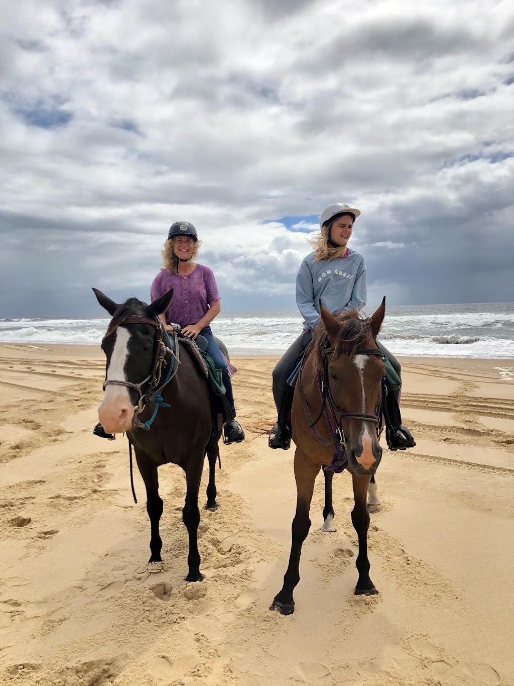 Horseabout Tours | 22 Dee Cres, Tuncurry NSW 2428, Australia | Phone: 0423 830 738