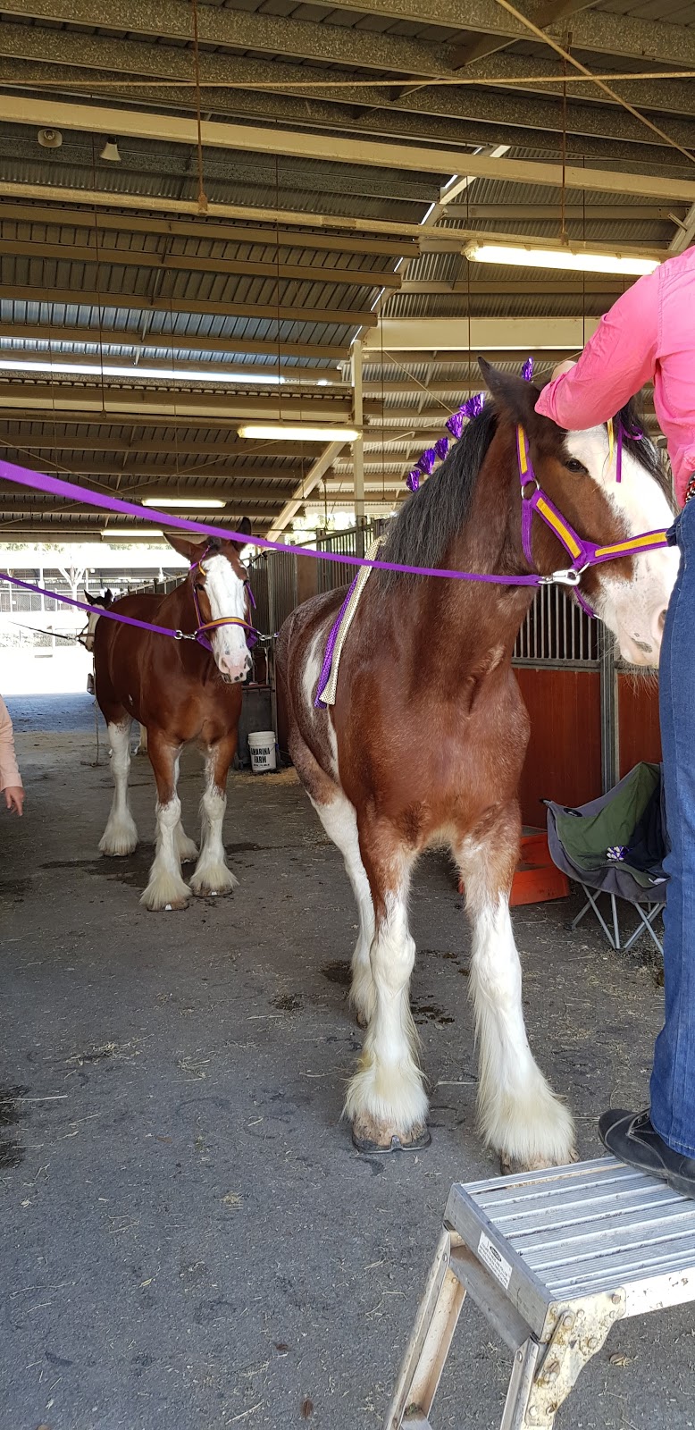 Sydney International Equestrian Centre |  | Saxony Rd, Horsley Park NSW 2175, Australia | 0288836900 OR +61 2 8883 6900