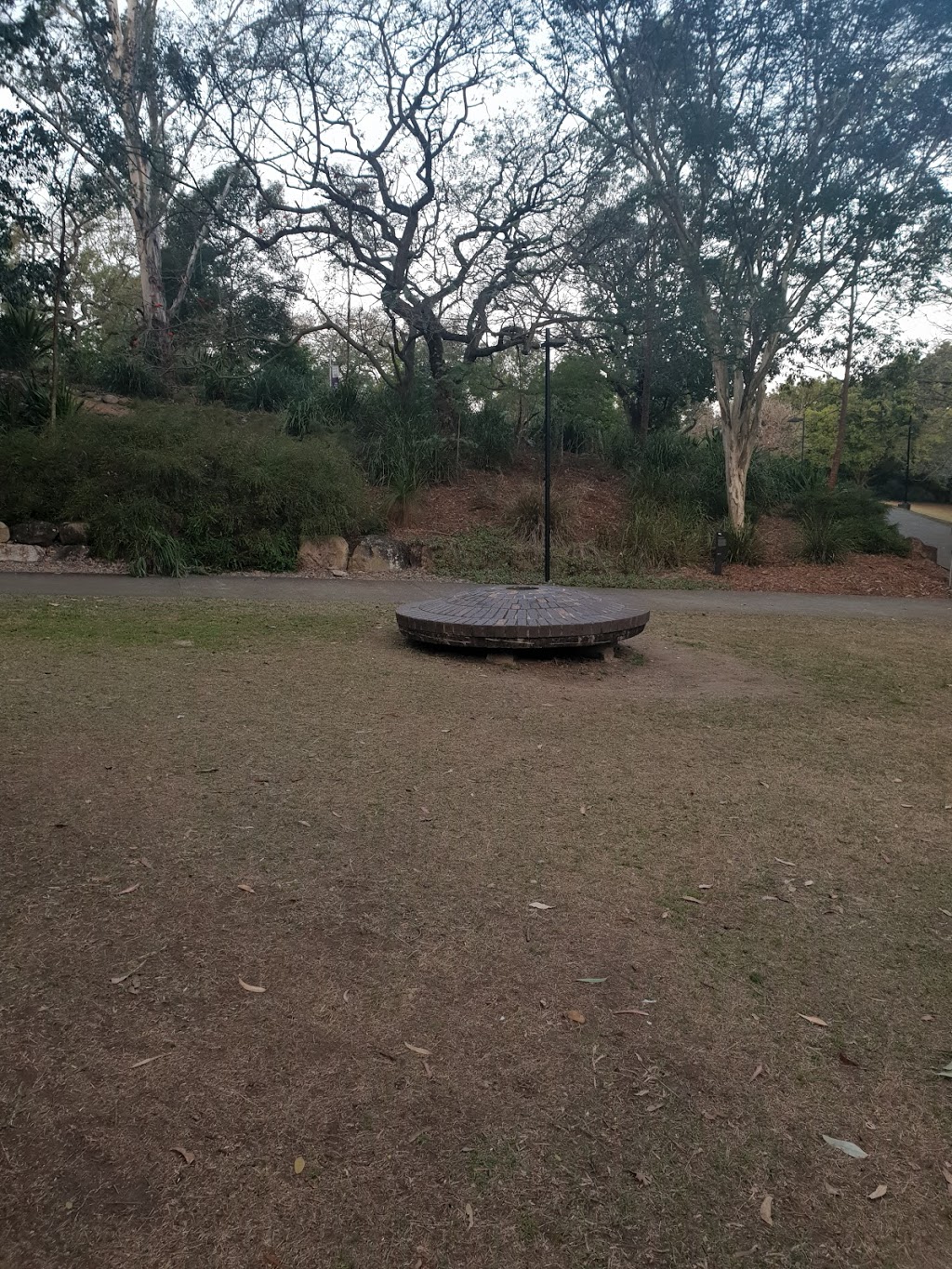Natural Amphitheatre | park | UQ Lakes, University Dr, St Lucia QLD 4067, Australia