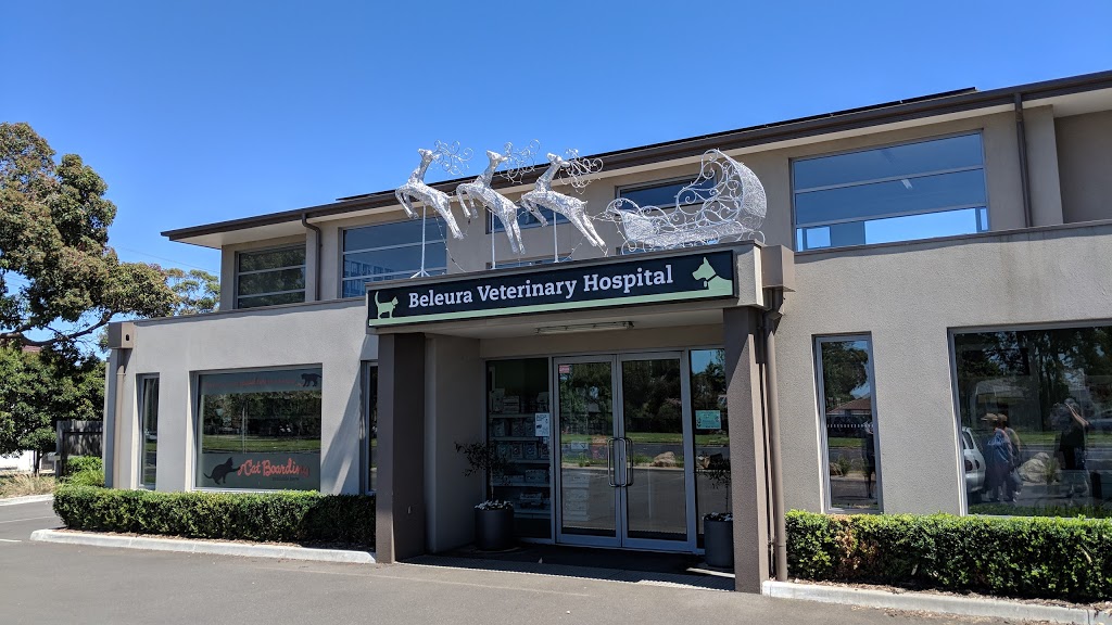 Beleura Veterinary Hospital Mornington | 955 Nepean Hwy, Mornington VIC 3931, Australia | Phone: (03) 5976 4244