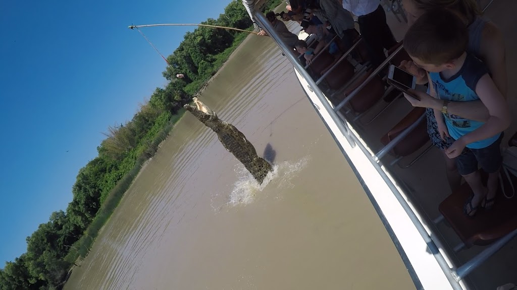 The Original Adelaide River Queen Jumping Crocodile Cruises | cafe | Adelaide River Bridge, 3220A Arnhem Hwy, Wak Wak NT 0822, Australia | 0889888144 OR +61 8 8988 8144