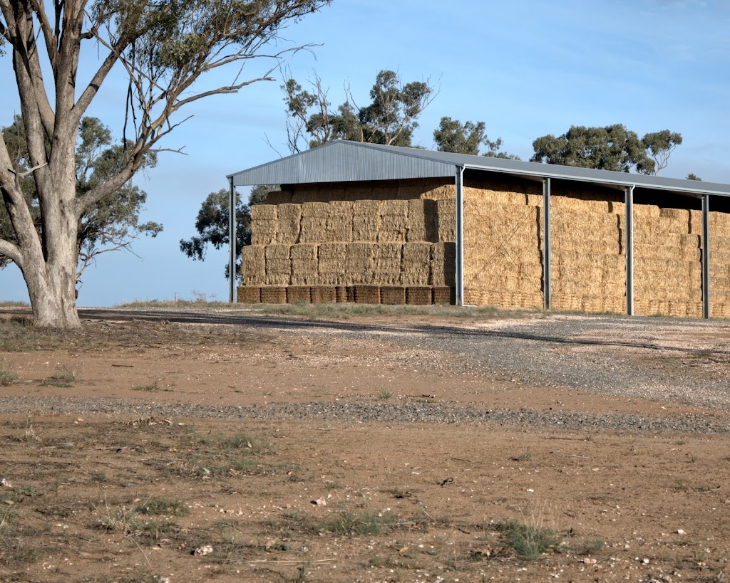 ProSheds | 9 Hawthorn St, Dubbo NSW 2830, Australia | Phone: 0408 636 942