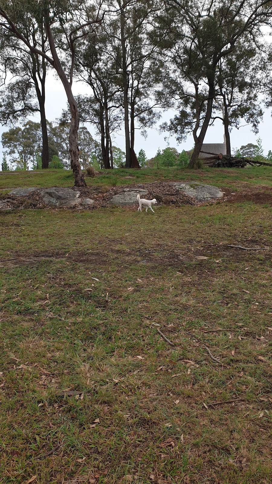 Maybelle Farm Equestrian Centre | 87 Ebenezer Wharf Rd, Ebenezer NSW 2756, Australia | Phone: 0416 110 258