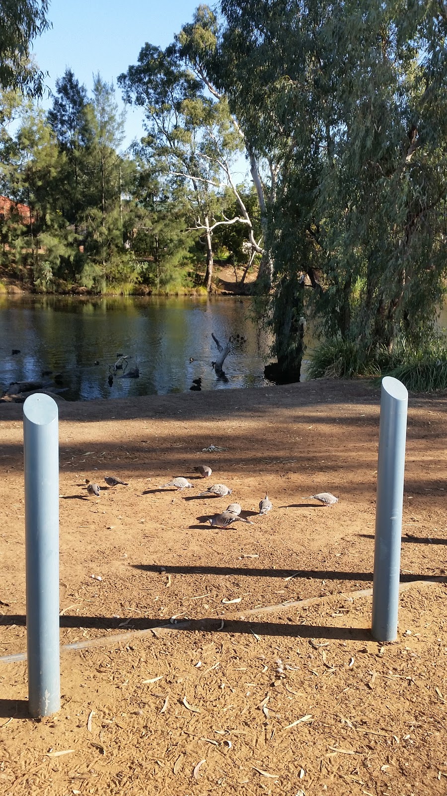 Sams Ducks car park | parking | 86 The Esplanade, Wagga Wagga NSW 2650, Australia