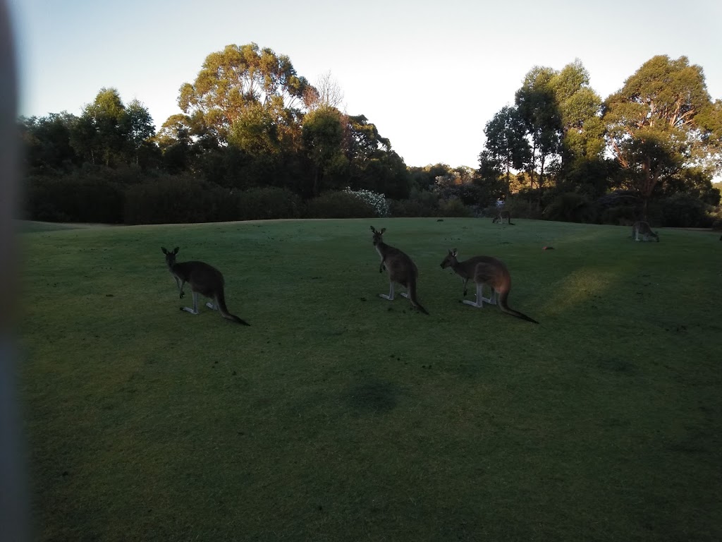 Araluen Golf Resort | Country Club Ave, Roleystone WA 6111, Australia | Phone: (08) 9397 9000