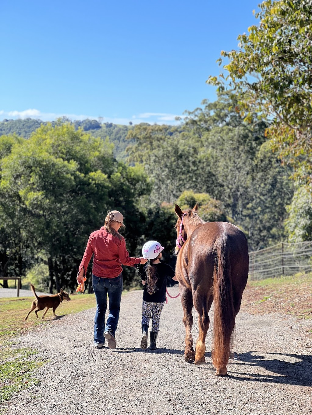 Watson Equine | 30 Doomben Ct, Beechmont QLD 4211, Australia | Phone: 0432 891 400