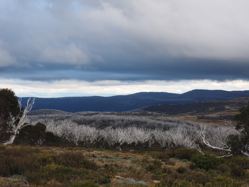 Heathy Spur Walking Track | Falls Creek VIC 3699, Australia