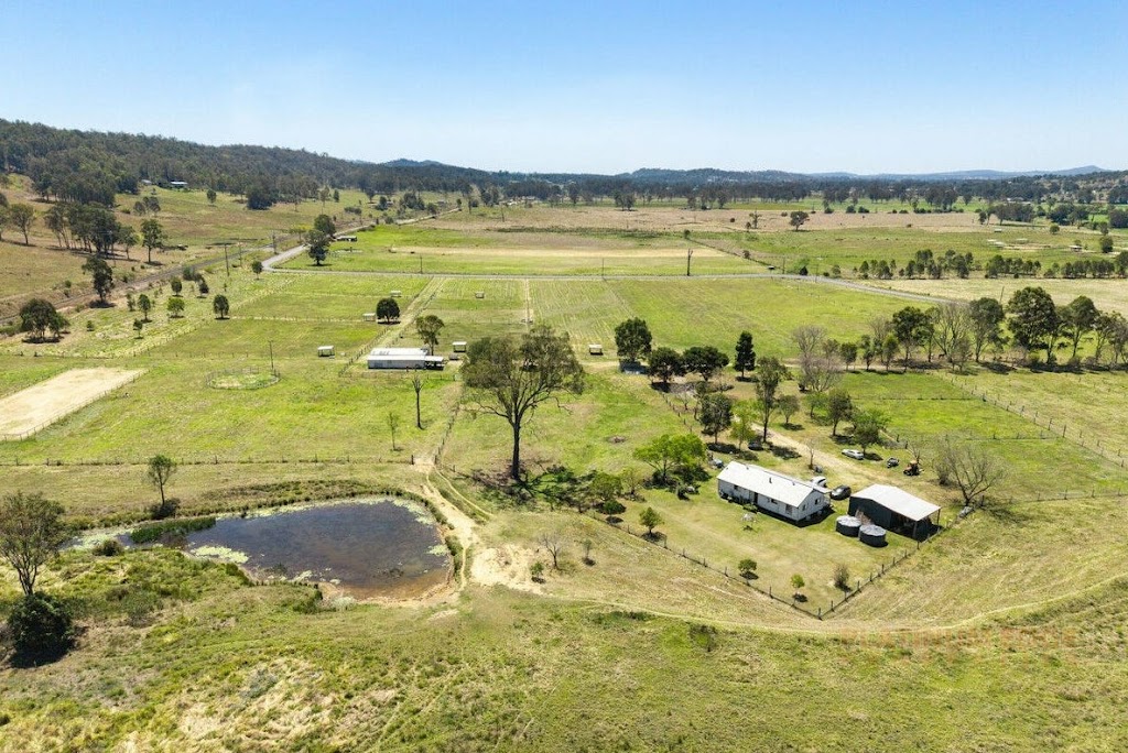 Someday Racing & Breeding | 363 Round Mountain Rd, Laravale QLD 4285, Australia | Phone: 0435 382 443