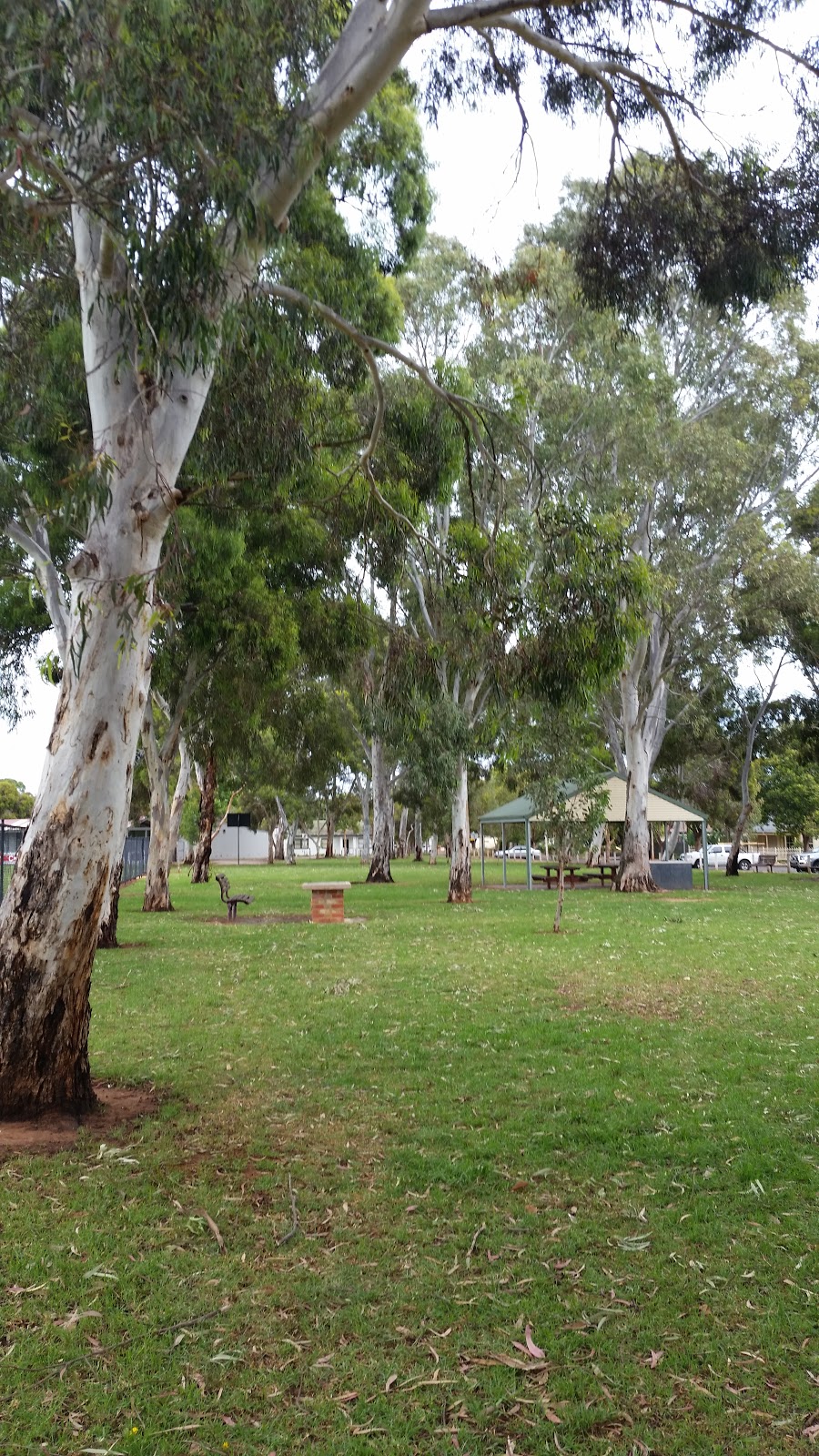 AA Bailey Recreation Ground | park | Clarence Gardens SA 5039, Australia | 0883728888 OR +61 8 8372 8888