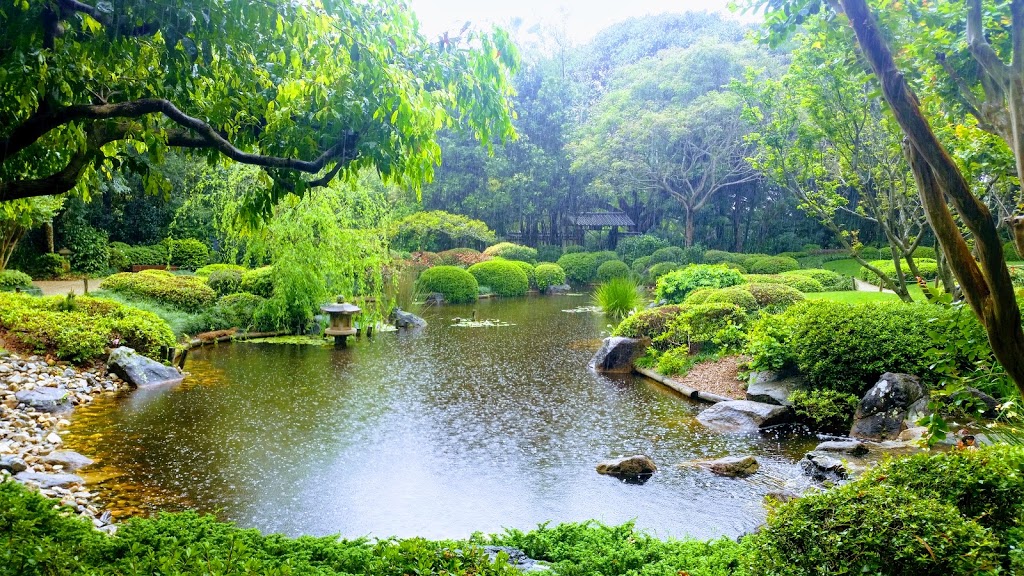 Brisbane Botanic Gardens Mt Coot-tha | park | Mount Coot Tha Rd, Toowong QLD 4066, Australia | 0734038888 OR +61 7 3403 8888