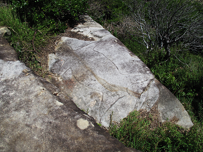 Bondi Beach Aboriginal Rock Art Tours | Biddigal Reserve, Ramsgate Ave, North Bondi NSW 2026, Australia | Phone: 0411 573 870