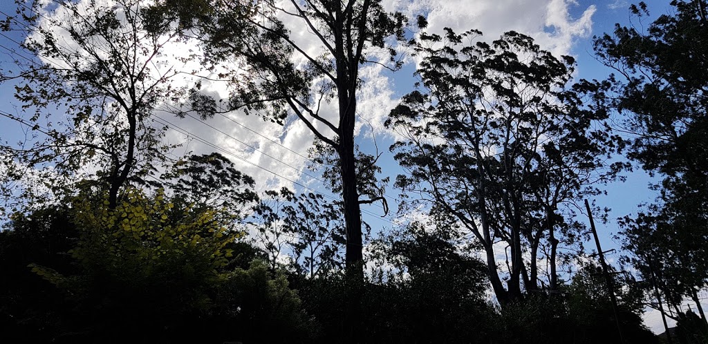 Sheldon Forest Walking Track | Pymble NSW 2073, Australia | Phone: (02) 9424 0000