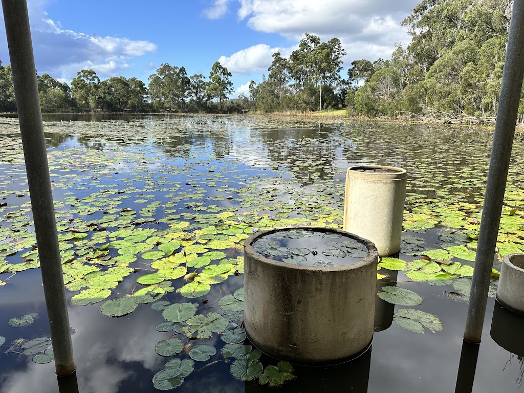 Abundance Lakeside Cafe | 274 Rawdon Island Rd, Sancrox NSW 2446, Australia | Phone: 0412 890 200