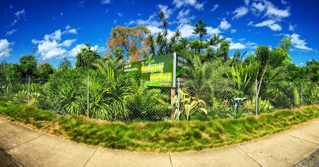 Designer Garden Co | 11 Lily St, Cairns North QLD 4870, Australia | Phone: 0404 972 235
