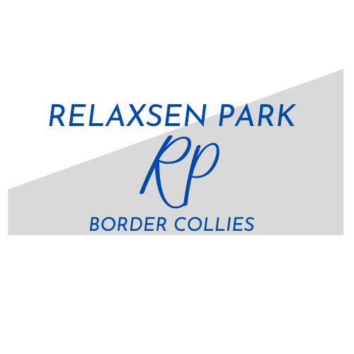 Relaxsen Park Border Collies |  | 147 Memsie Rd, Gulargambone NSW 2828, Australia | 0428251463 OR +61 428 251 463