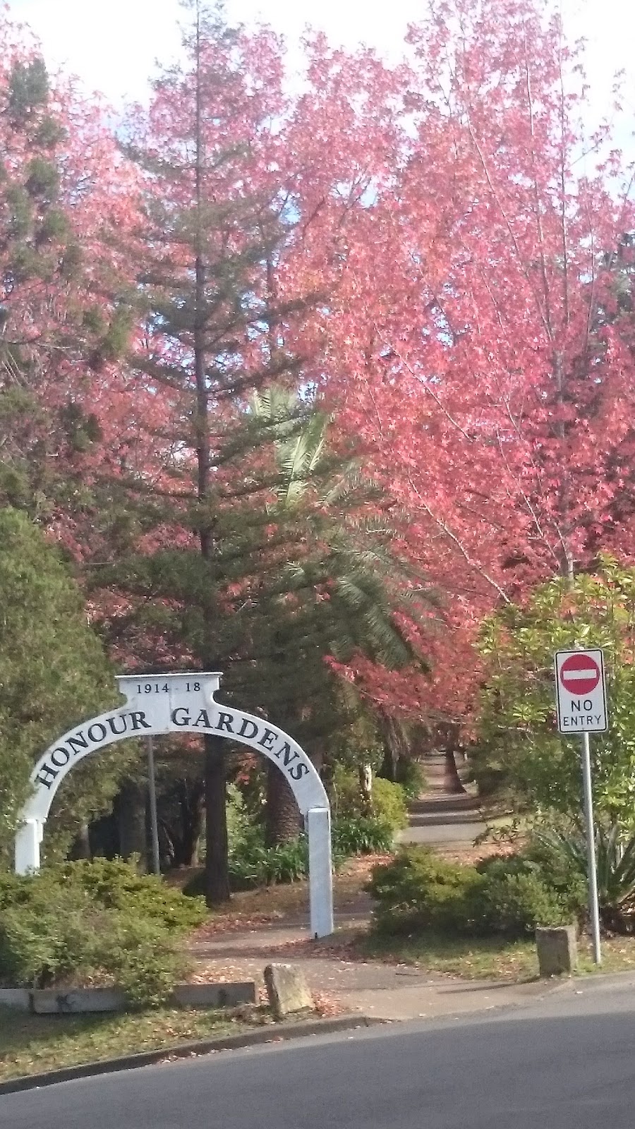 Honour Gardens | park | 11 Honour Ave, Lawson NSW 2783, Australia