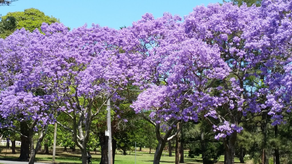 Rothwell Park | park | Concord NSW 2137, Australia