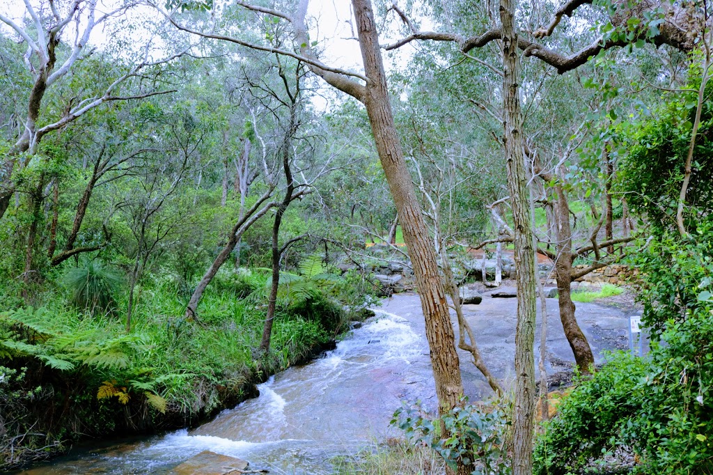 Araluen Botanic Park | park | 362 Croyden Rd, Roleystone WA 6111, Australia | 0892342200 OR +61 8 9234 2200