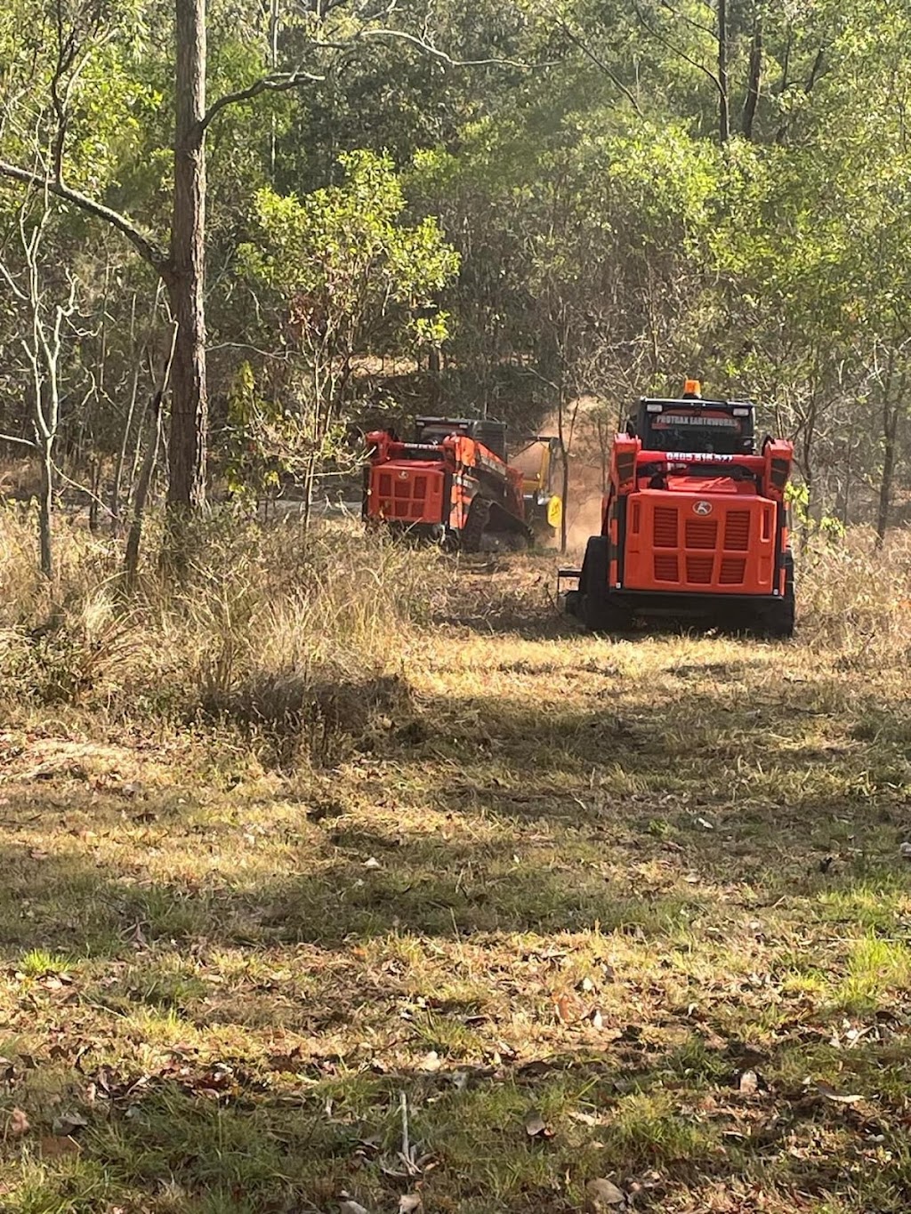 Protrax Vegetation Management | Twin View Rd, Elimbah QLD 4516, Australia | Phone: 0405 816 527