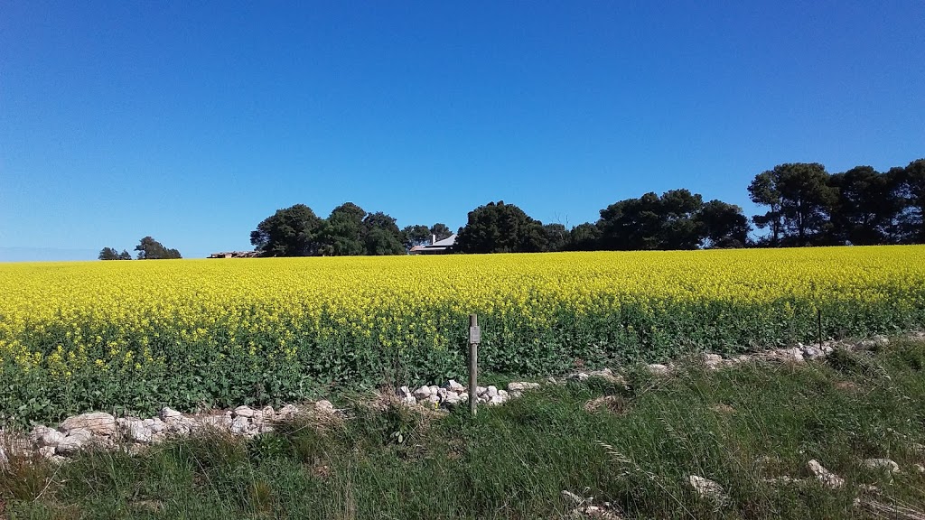 edithburgh flora reserve | park | 20 Anstey Terrace, Edithburgh SA 5583, Australia