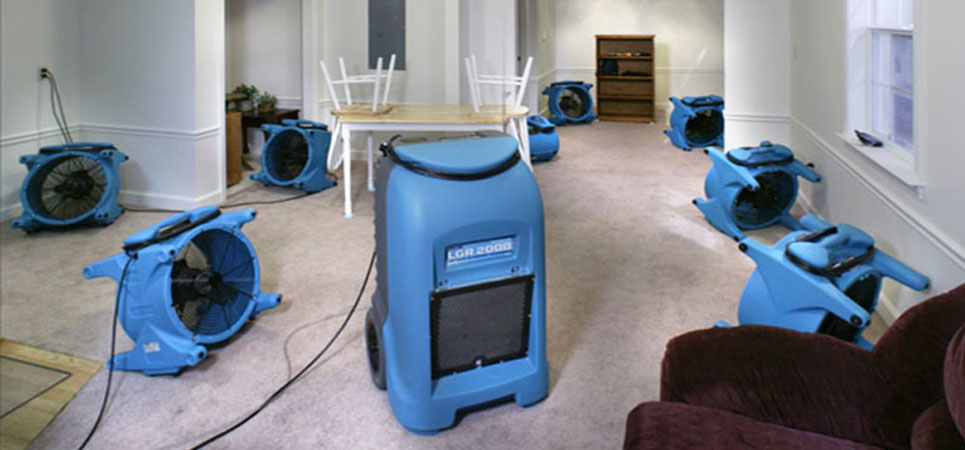 Elitessential Cleaning | laundry | Truganina Street, Truganina VIC 3029, Australia | 0469873655 OR +61 469 873 655