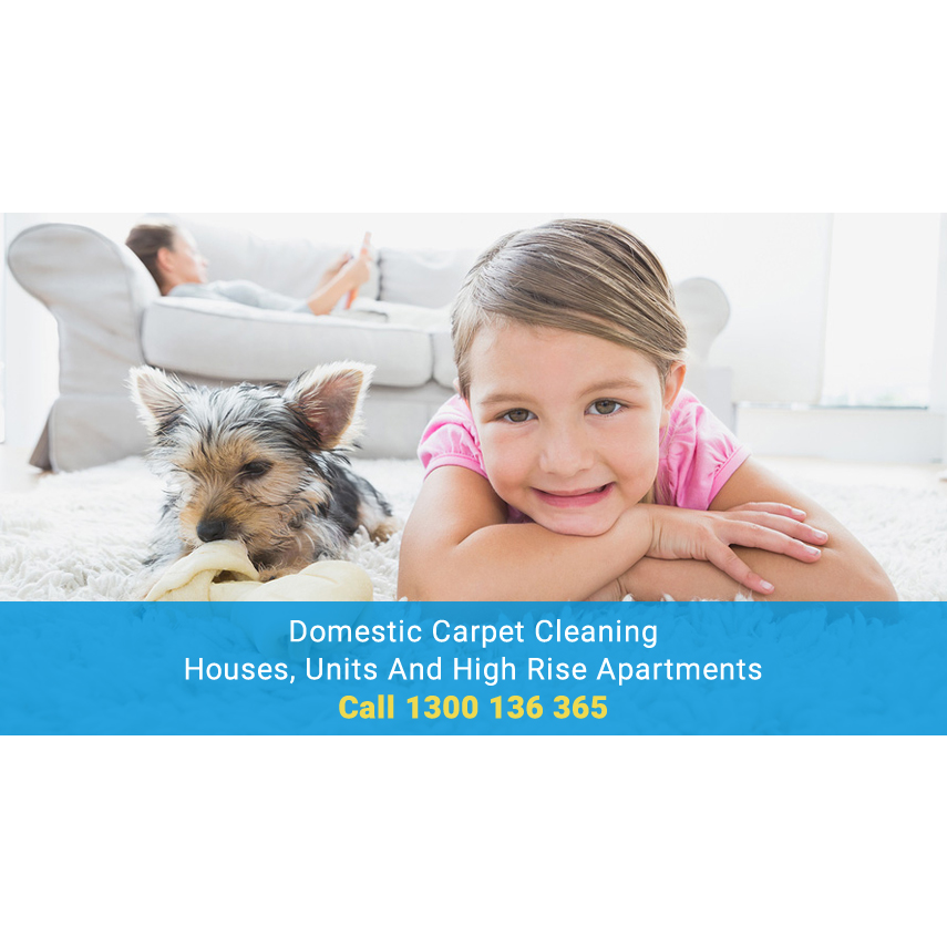 Absolute Carpet Care | laundry | 72 Killarney Cres, Capalaba QLD 4157, Australia | 0733332196 OR +61 7 3333 2196
