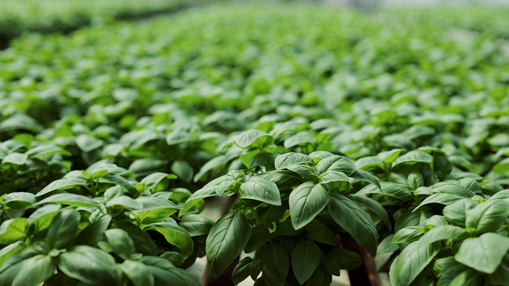 Windy Hills Farm NSW | 35 Sylvan Rd, Werombi NSW 2570, Australia | Phone: (02) 4653 2222